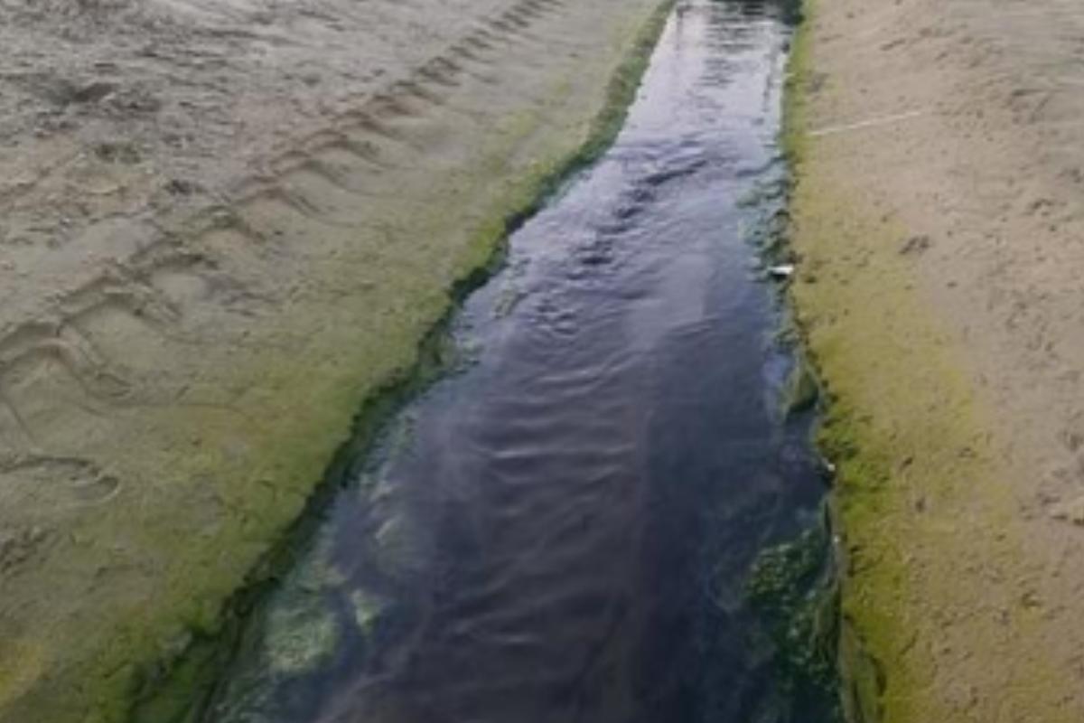 Corrente de água provoca mau cheiro e incomoda quem passa pela Praia do Maracanã, em Praia Grande