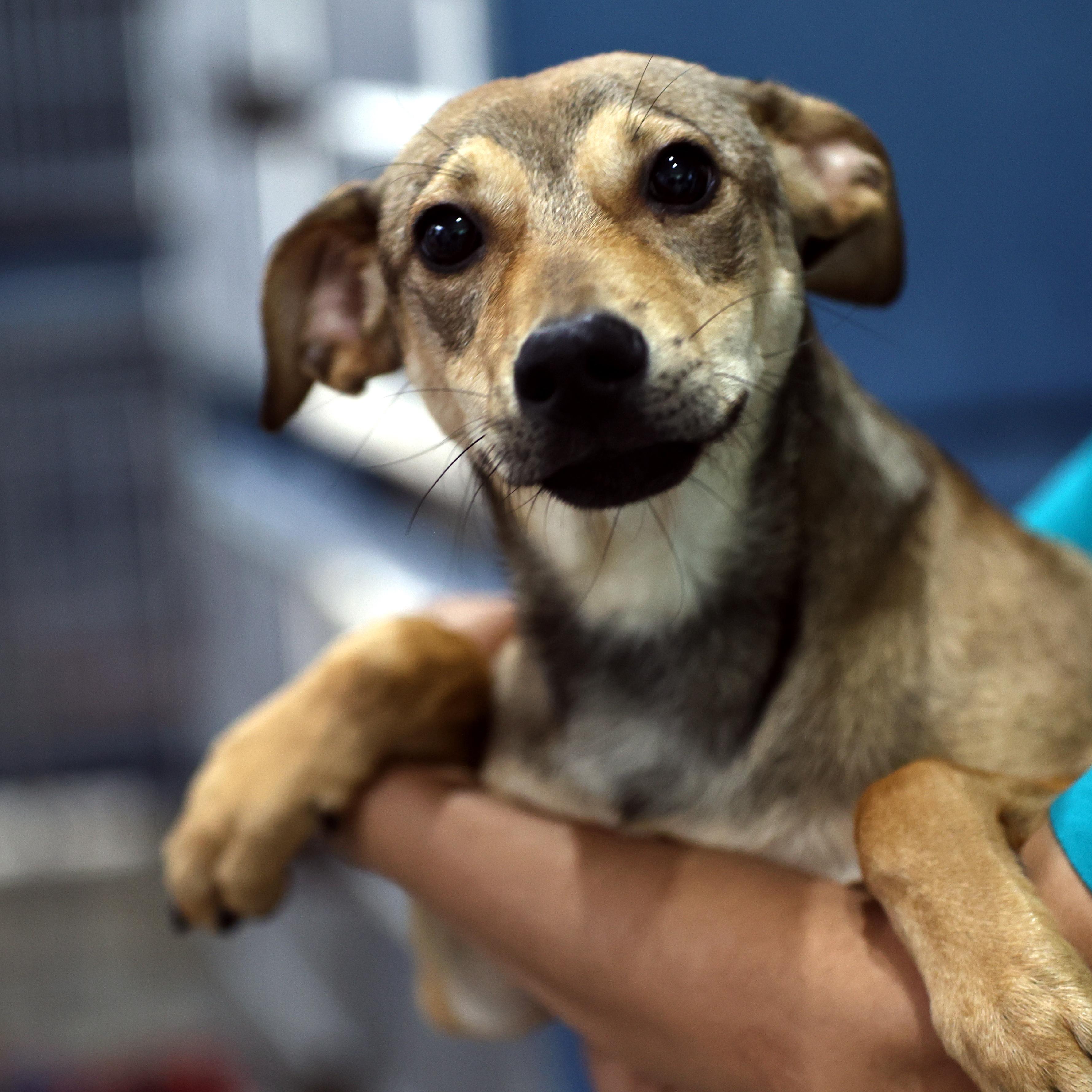 Tribuna do Leitor - quarta-feira, 25 de fevereiro de 2026