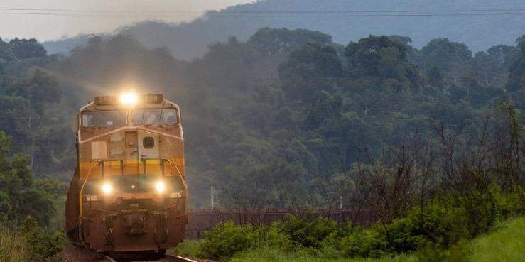 O plano deverá ser entregue em até 12 meses após a definição conjunta das premissas técnicas
