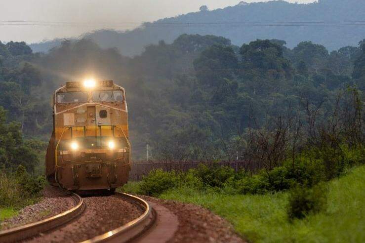O plano deverá ser entregue em até 12 meses após a definição conjunta das premissas técnicas