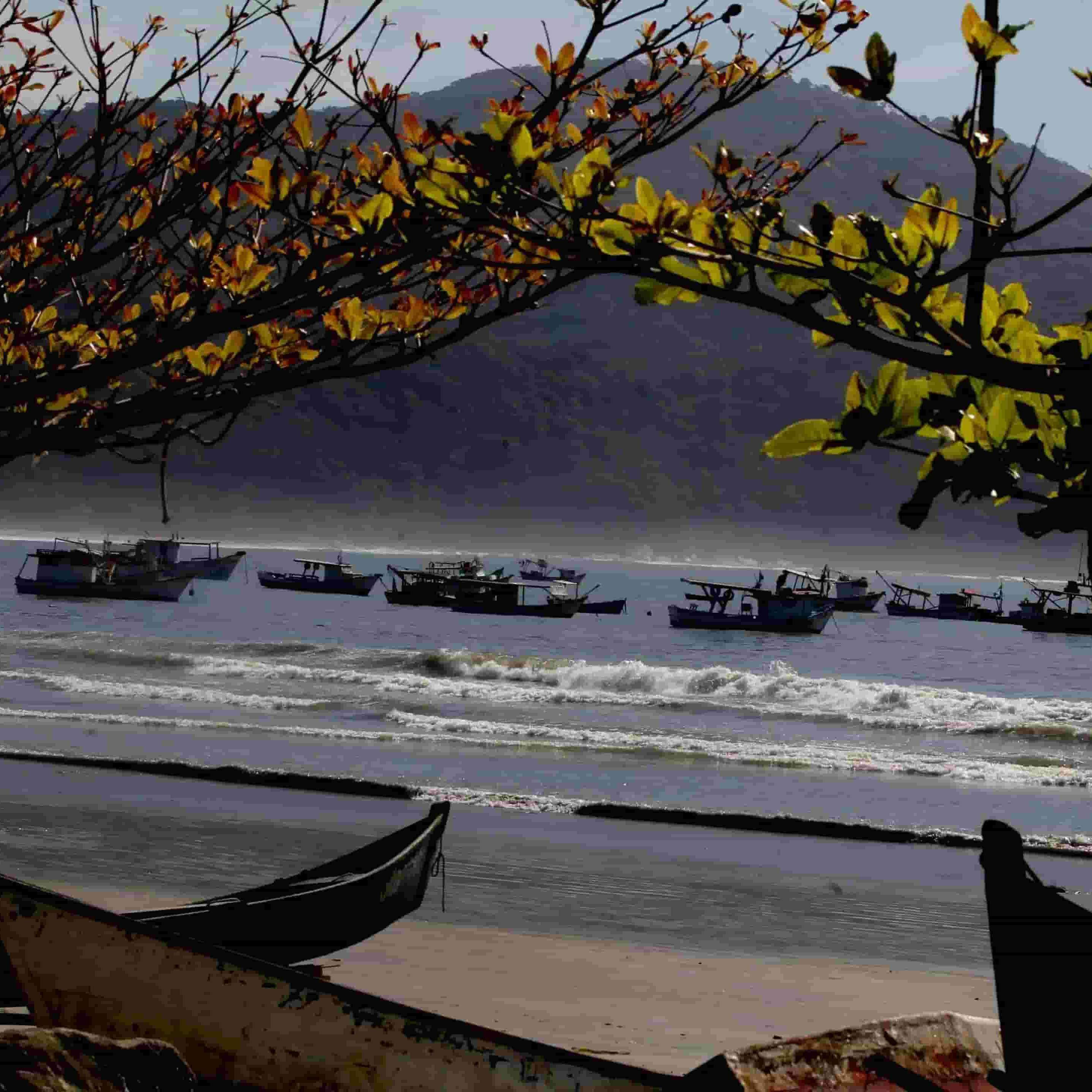 Com forte tradição pesqueira, a Praia do Perequê tem barcos na areia e restaurantes rústicos
