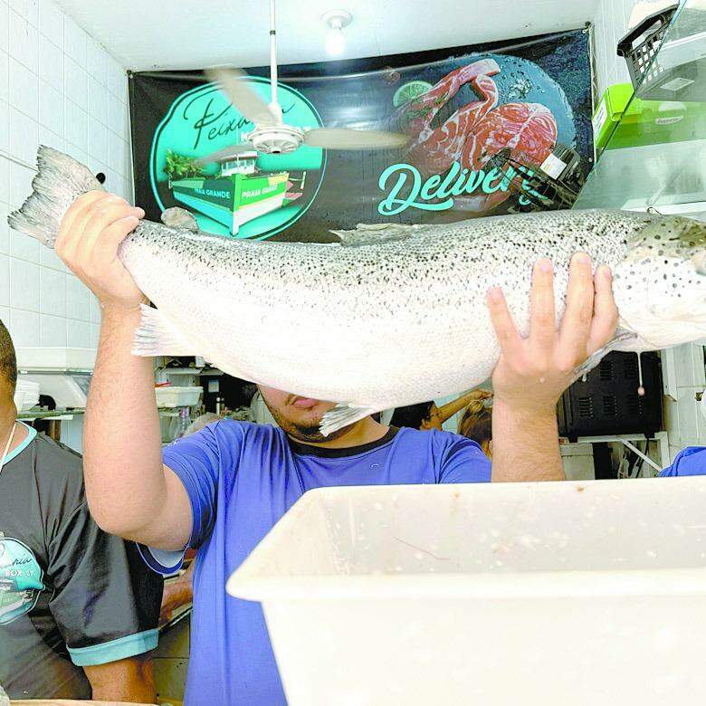 Boutique do Peixe, no Ocian, é uma referência na Cidade para quem procura pescados e frutos do mar