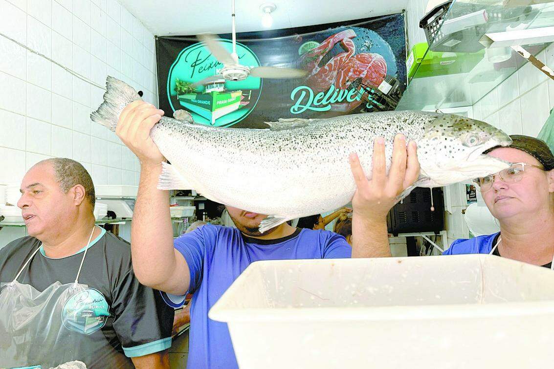 Boutique do Peixe, no Ocian, é uma referência na Cidade para quem procura pescados e frutos do mar