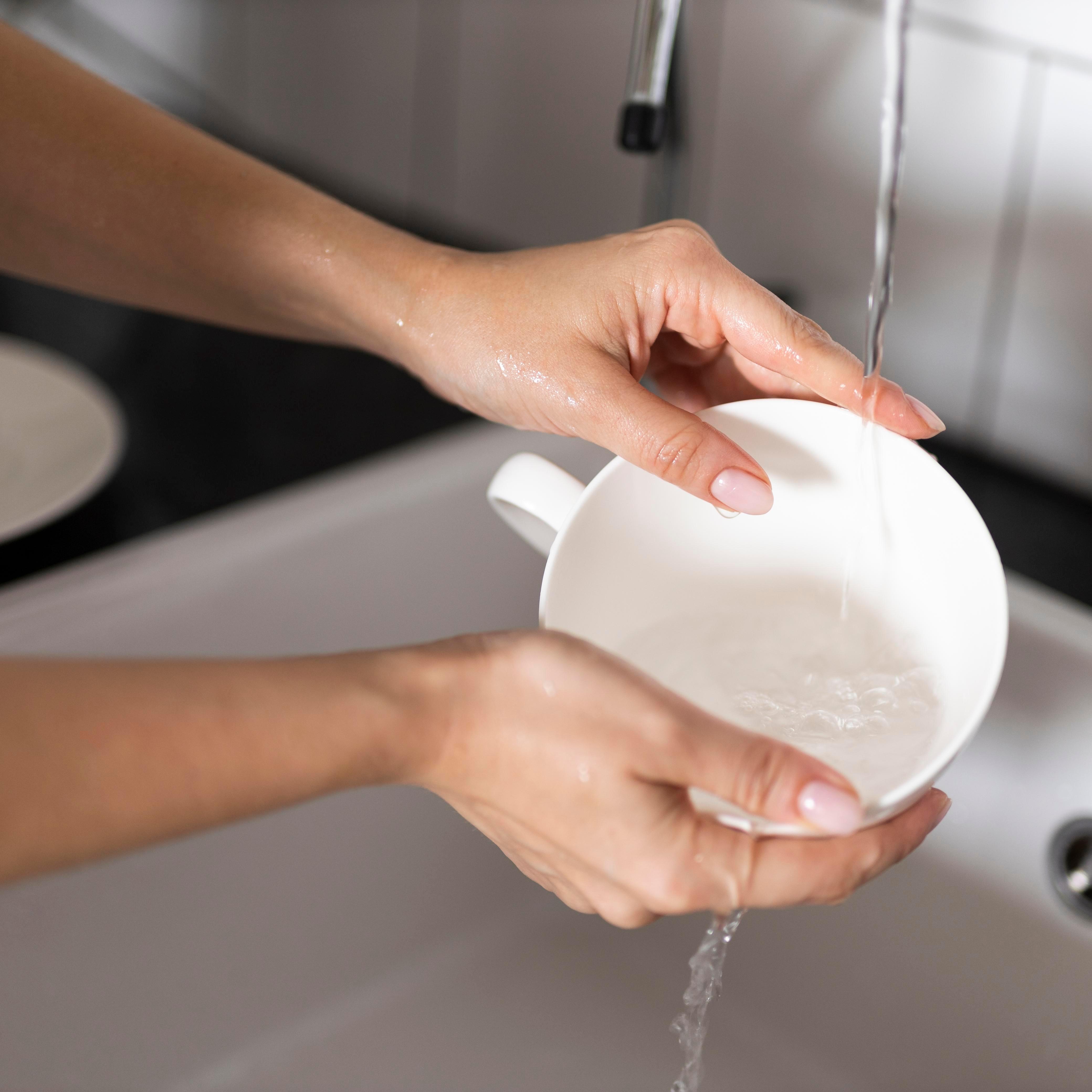 Tribuna Livre: Laudelina Vive, luta por direitos invisibilizados