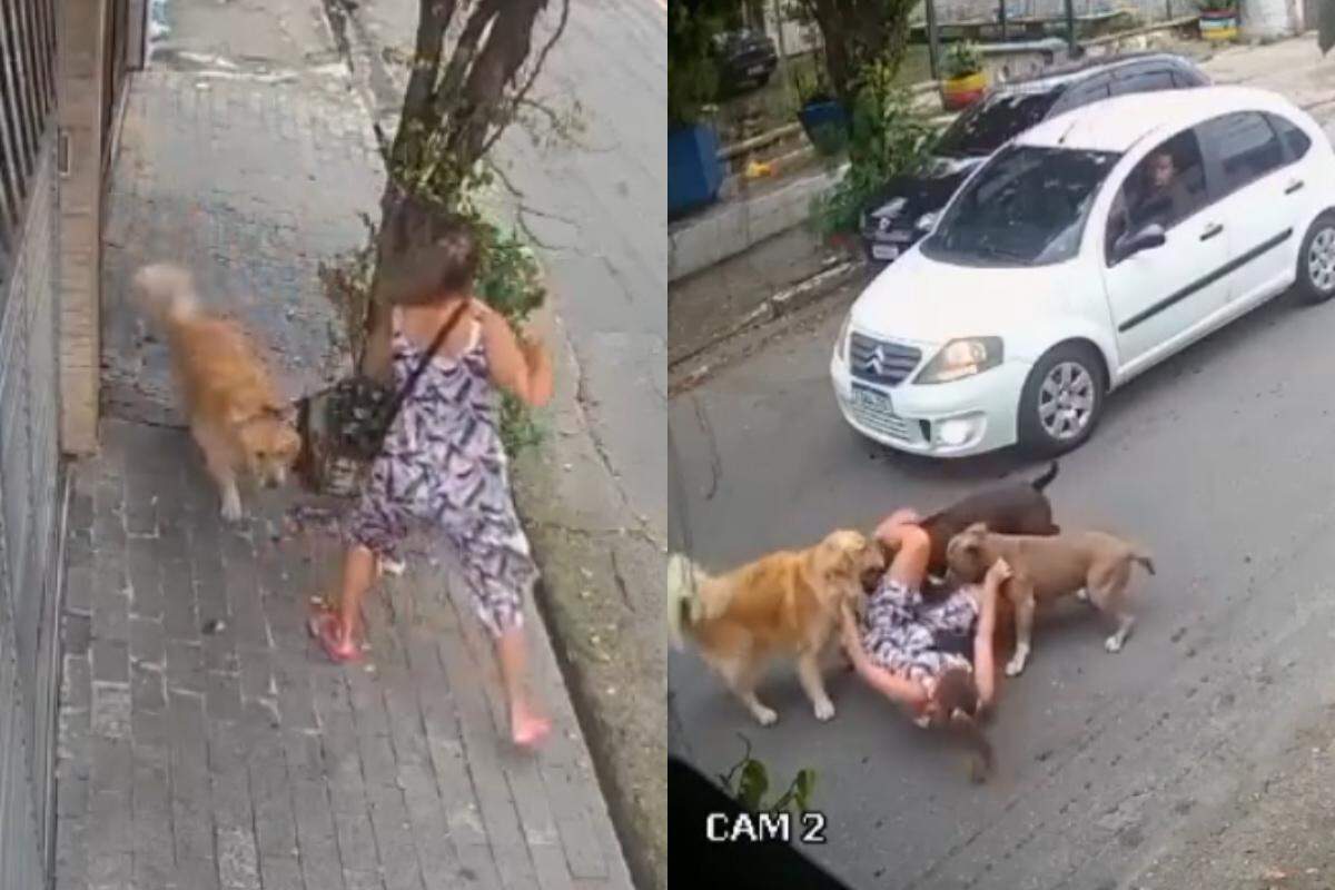 Os cachorros foram segurados pela mulher para evitar o ataque (Reprodução)