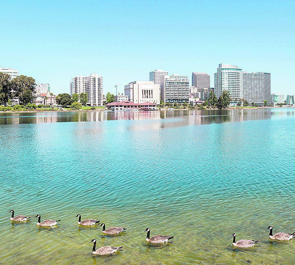 LAKE MERRITT PERMITE CONTEMPLAR A CIDADE E PRATICAR ATIVIDADE FÍSICA (AdobeStock)