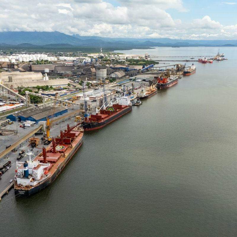 Grains stand out in the performance report of the ports of Paranaguá and Antonina