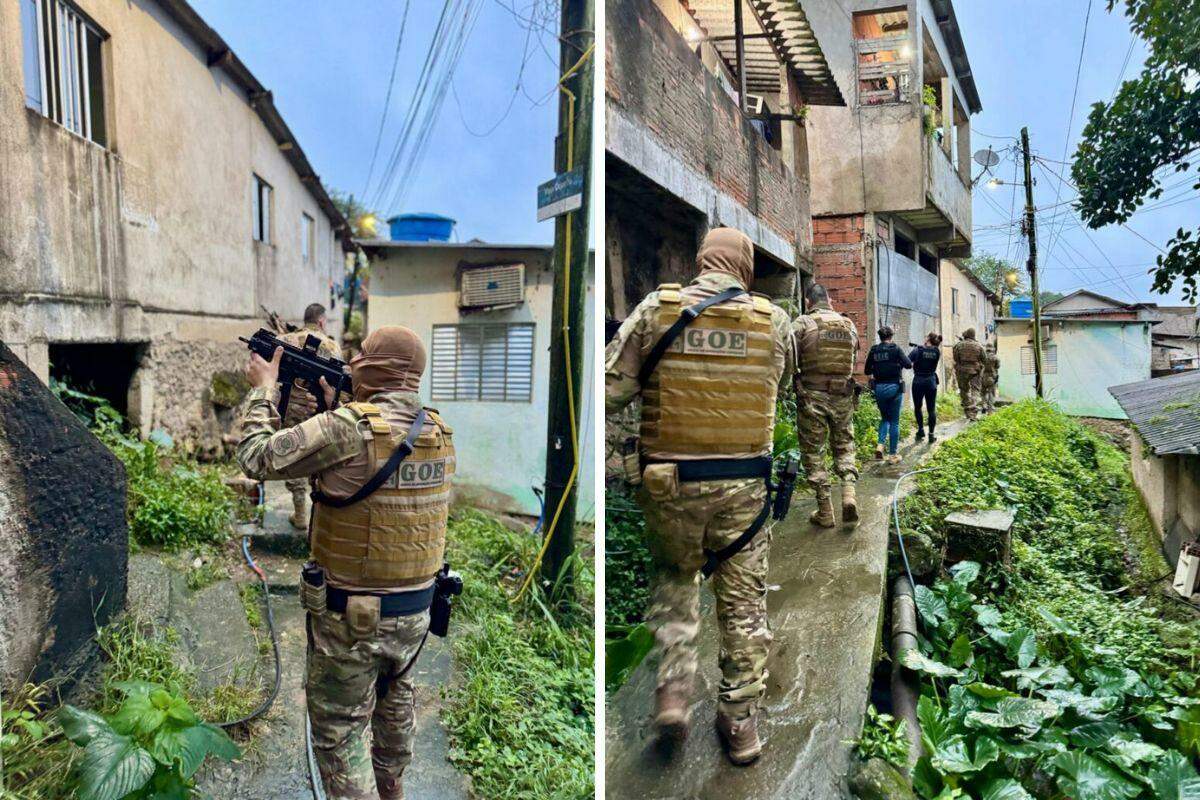 Ao todo, 37 mandados de busca e apreensão foram cumpridos na região (Divulgação/ Polícia Civil de Santa Catarina)