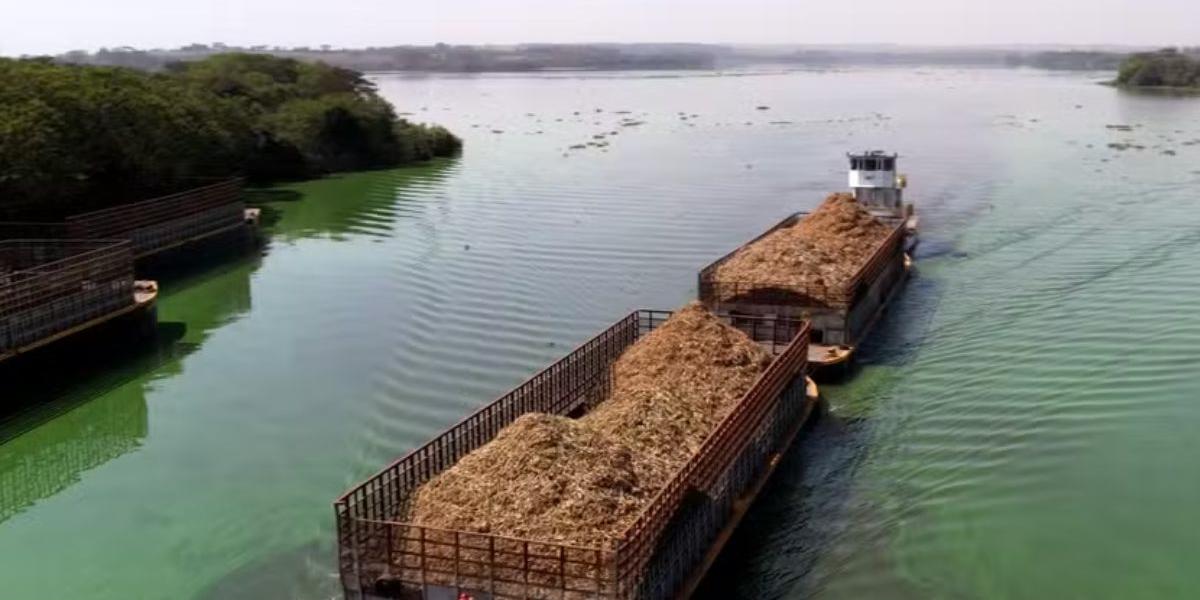 Aproveitar o potencial de mobilidade dos nossos rios