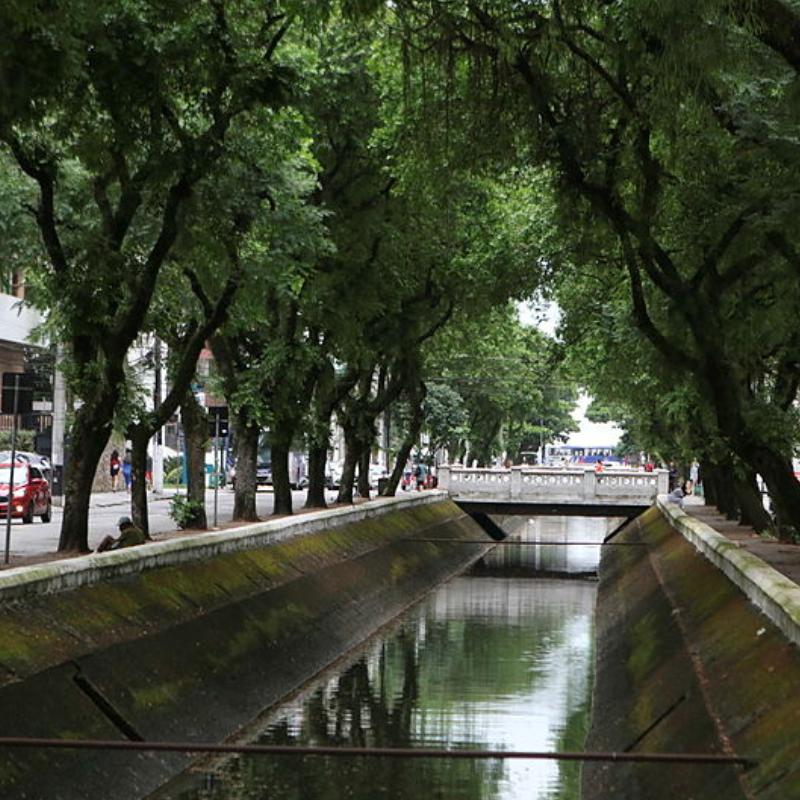 Tribuna do Leitor - domingo, 15 de março de 2026