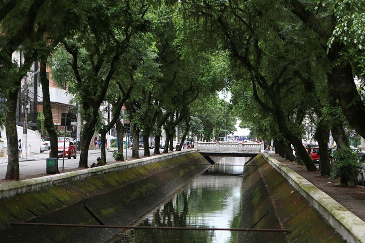 Tribuna do Leitor - domingo, 15 de março de 2026