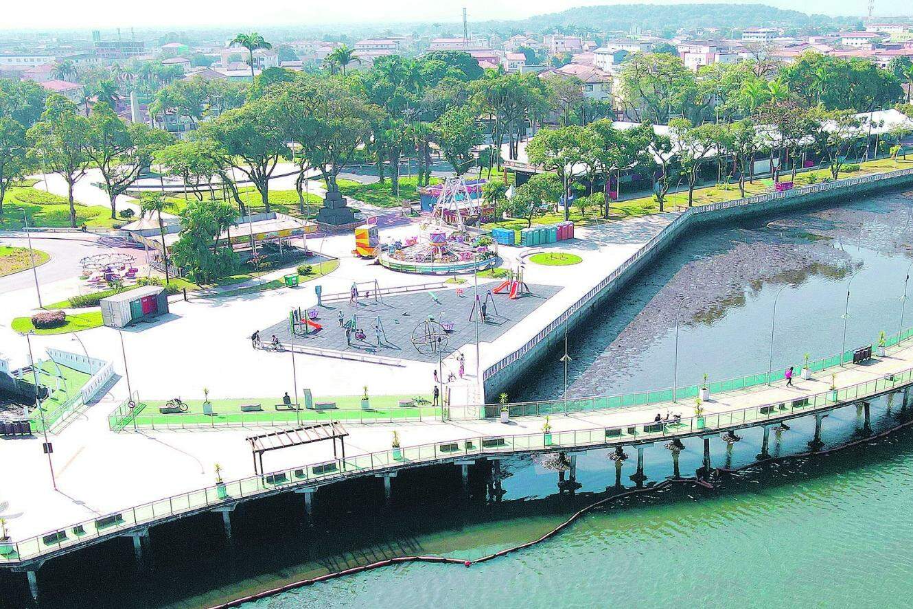 Plano também contempla ações relacionadas à arborização urbana e adaptações às mudanças climáticas