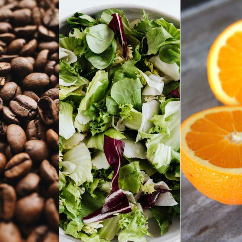 Feijão, espinafre e laranja são alimentos que podem ajudar na luta contra a anemia