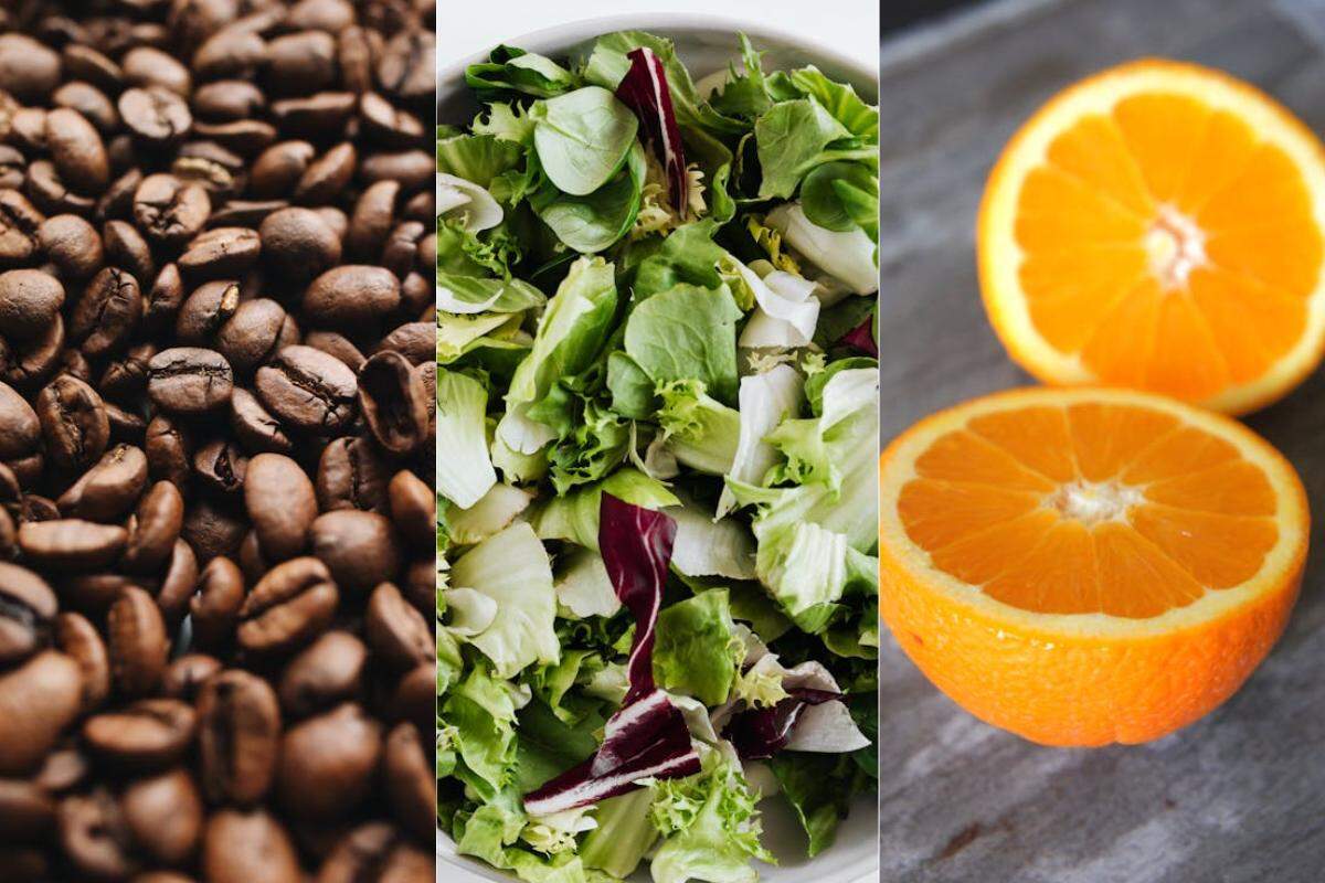 Feijão, espinafre e laranja são alimentos que podem ajudar na luta contra a anemia