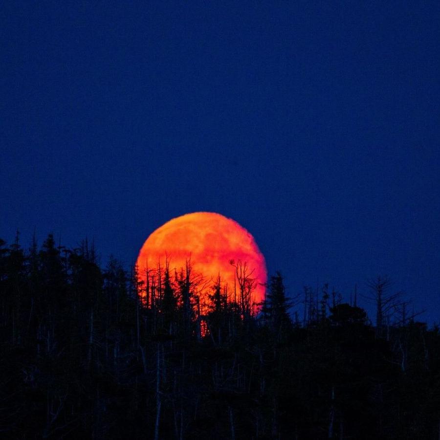 A Lua de sangue de setembro promete ser um espetáculo imperdível para astrônomos amadores e curiosos