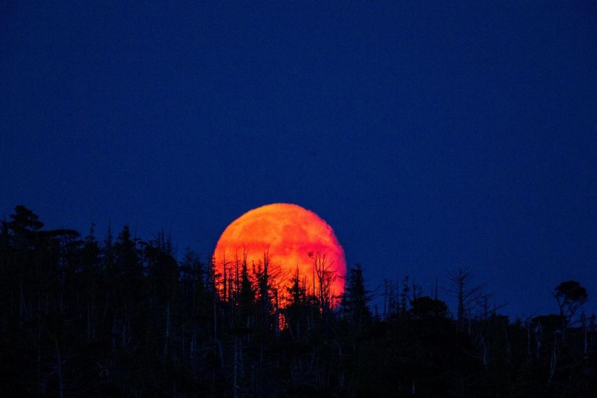 A Lua de sangue de setembro promete ser um espetáculo imperdível para astrônomos amadores e curiosos