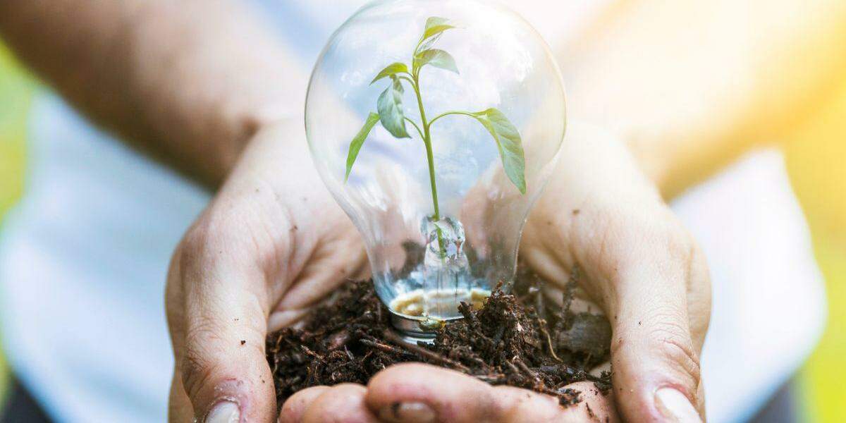 Sustentabilidade, responsabilidade de todos