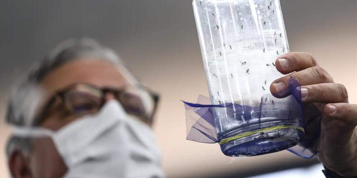 Revés contra a dengue