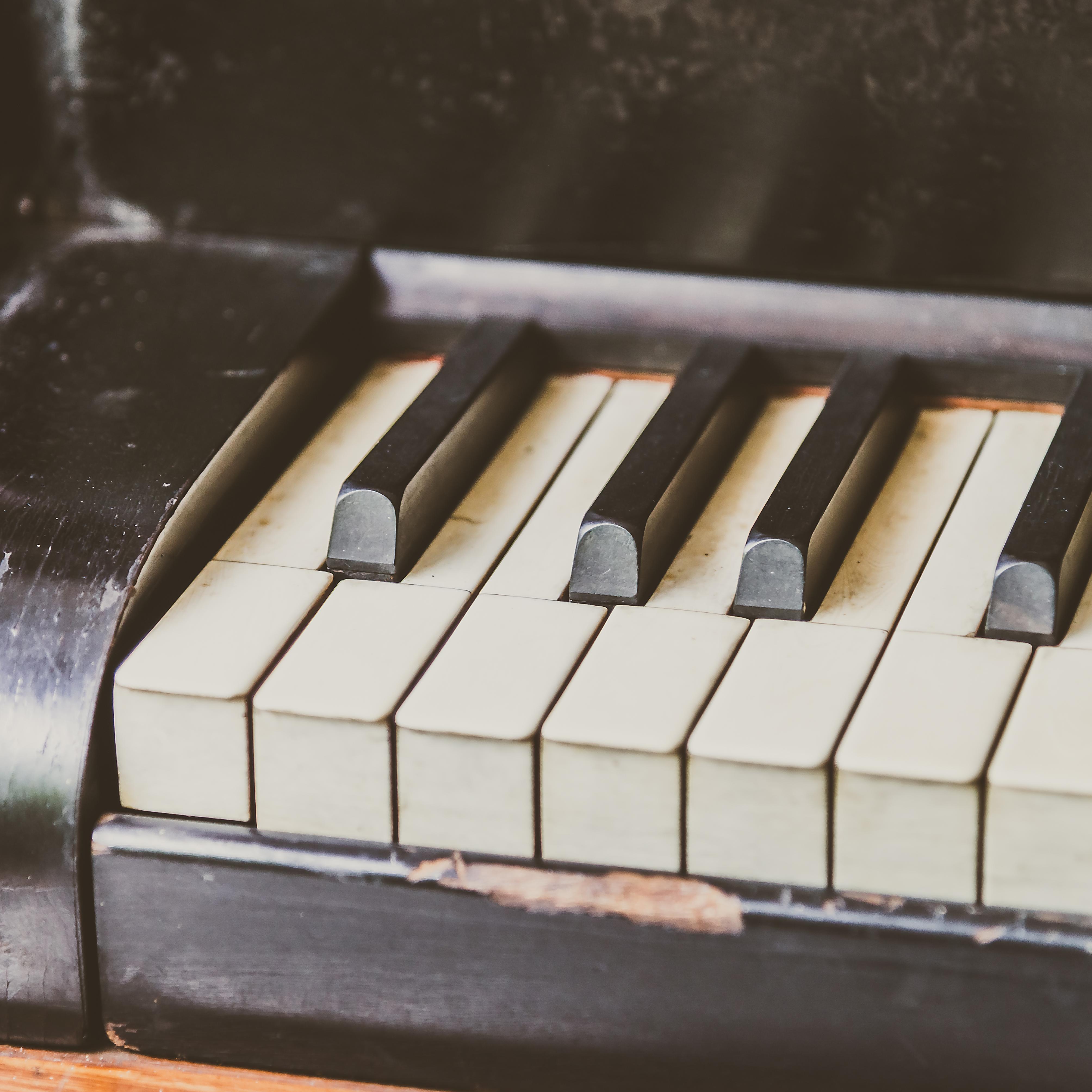 Estão abertas as inscrições para dois editais