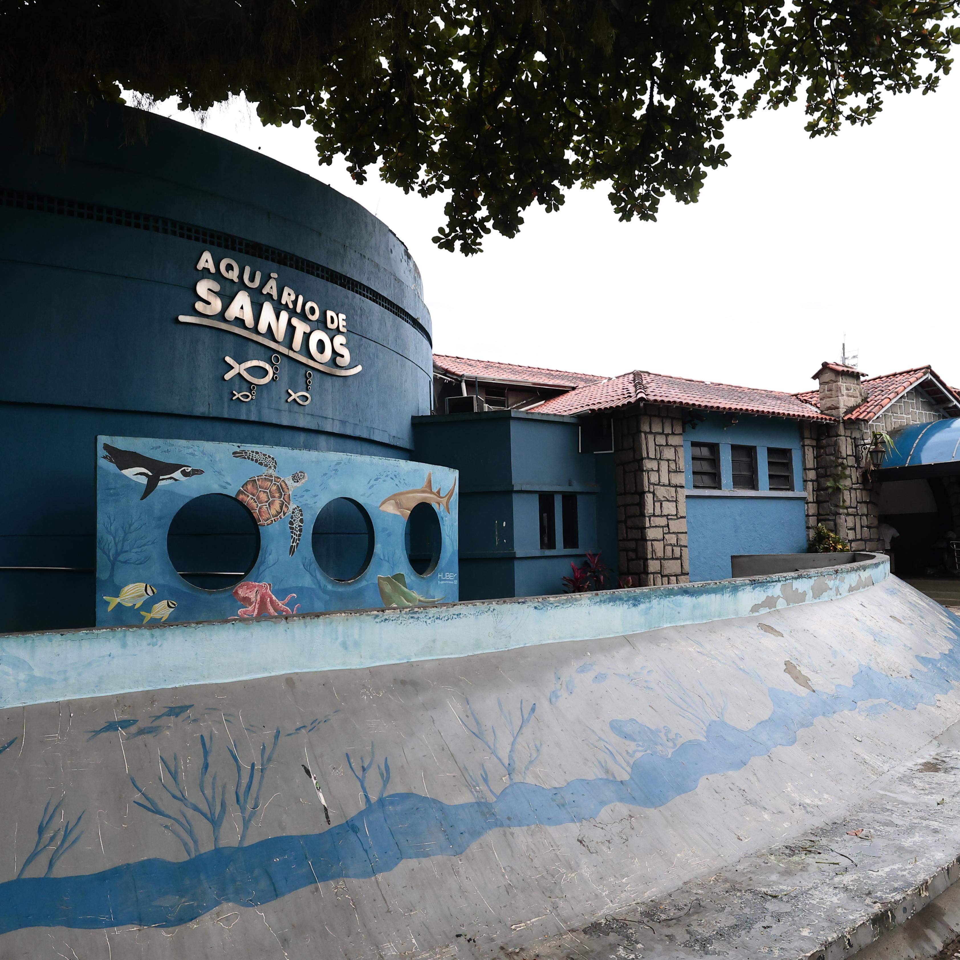 Tribuna do Leitor - Quinta-feira, 28 de maio de 2026