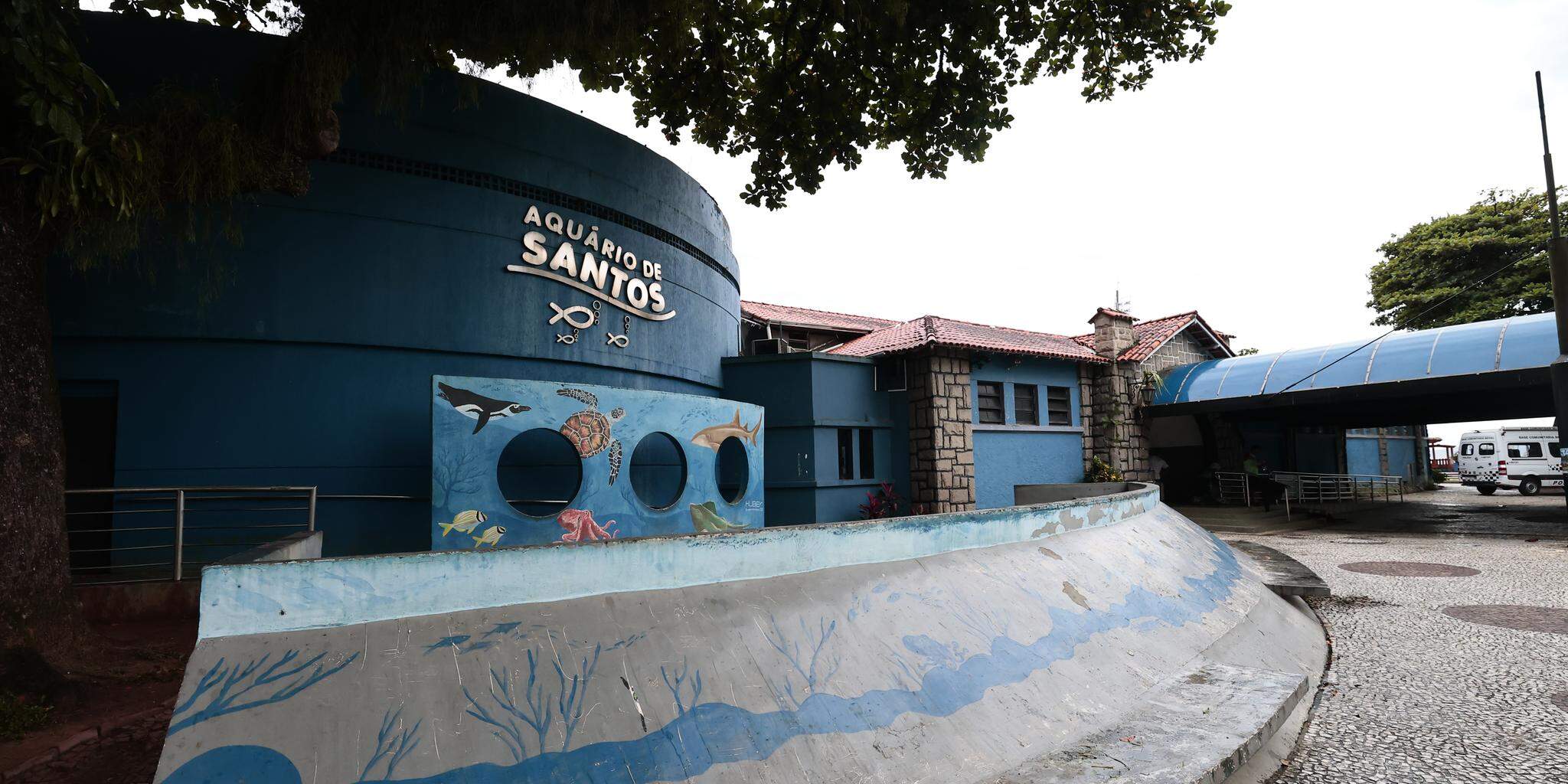 Tribuna do Leitor - Quinta-feira, 28 de maio de 2026