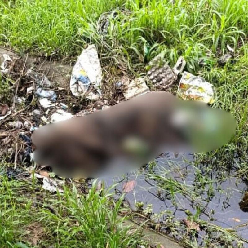 Corpo foi localizado com ferimentos na cabeça na Rua Brigadeiro Eduardo Gomes, na Vila Áurea em Guarujá