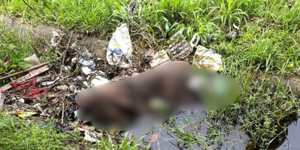 Corpo foi localizado com ferimentos na cabeça na Rua Brigadeiro Eduardo Gomes, na Vila Áurea em Guarujá