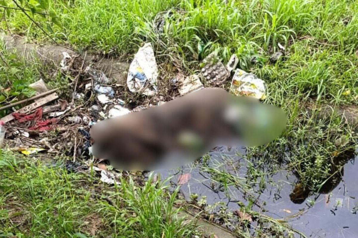 Corpo foi localizado com ferimentos na cabeça na Rua Brigadeiro Eduardo Gomes, na Vila Áurea em Guarujá