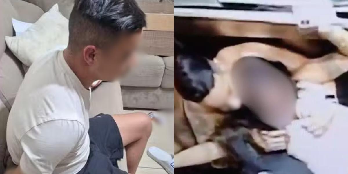 Homem foi preso na noite desta terça-feira (10)