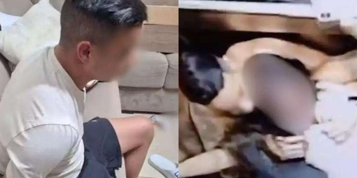 Homem que atacou ex em elevador em São Vicente admite à polícia que é agressivo com mulheres