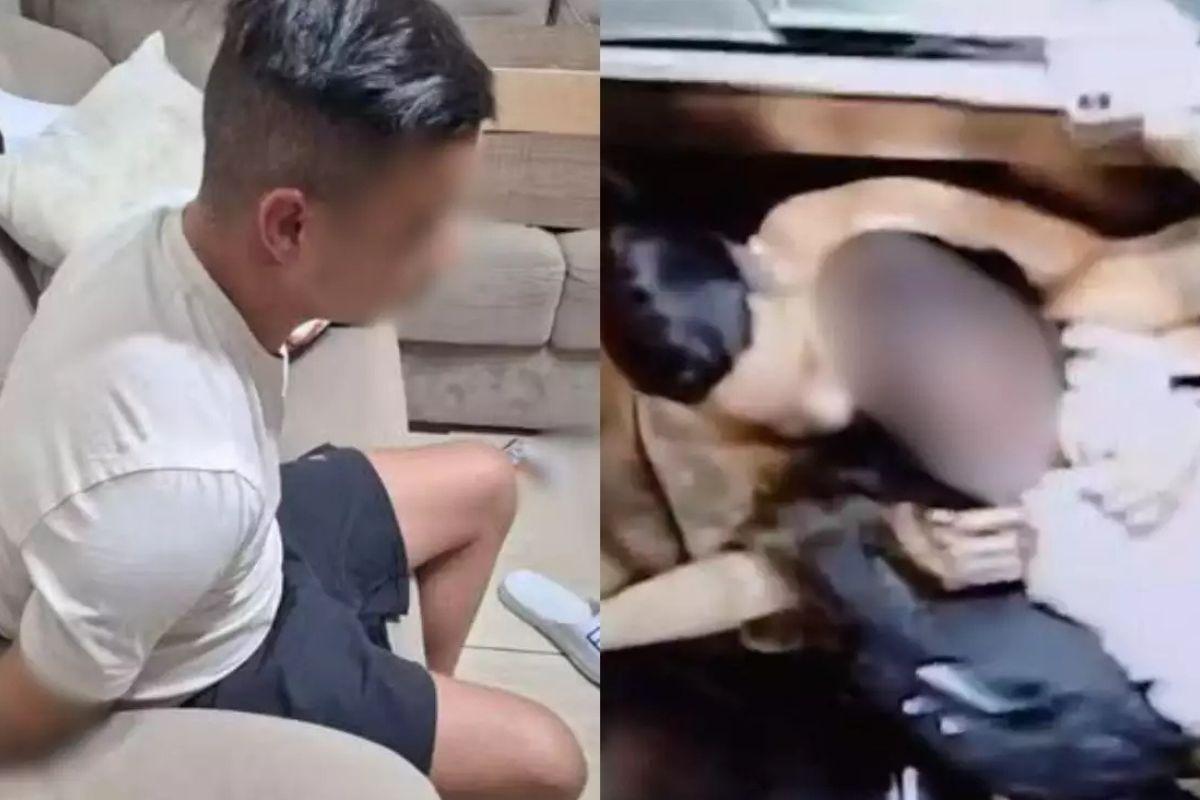 Homem que atacou ex em elevador em São Vicente admite à polícia que é agressivo com mulheres