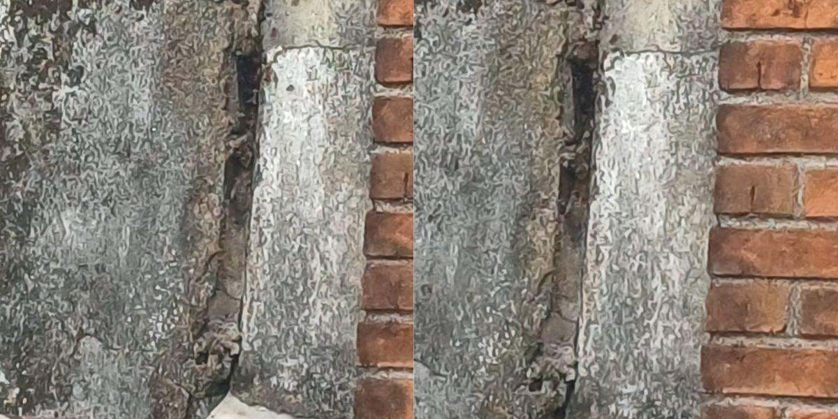 Colmeia em muro preocupa moradores e idoso fica ferido após tentativa de afastar abelhas em Itanhaém