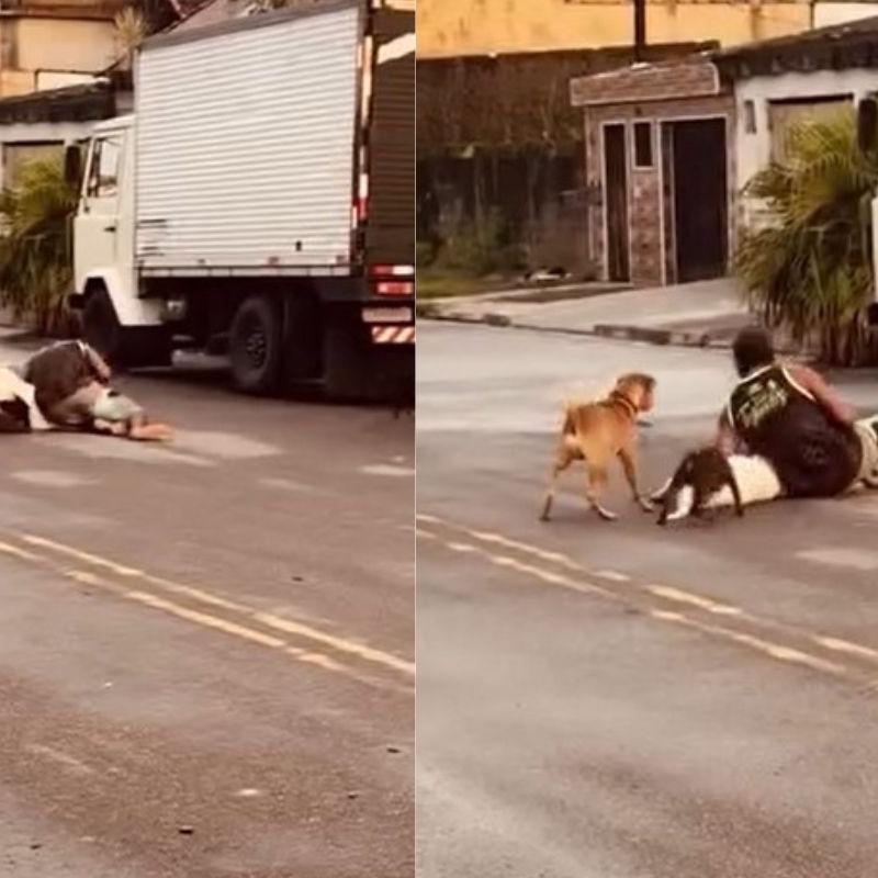 Homem se arrisca para salvar cães durante ataque de Pitbull no Samaritá, em São Vicente: VÍDEO