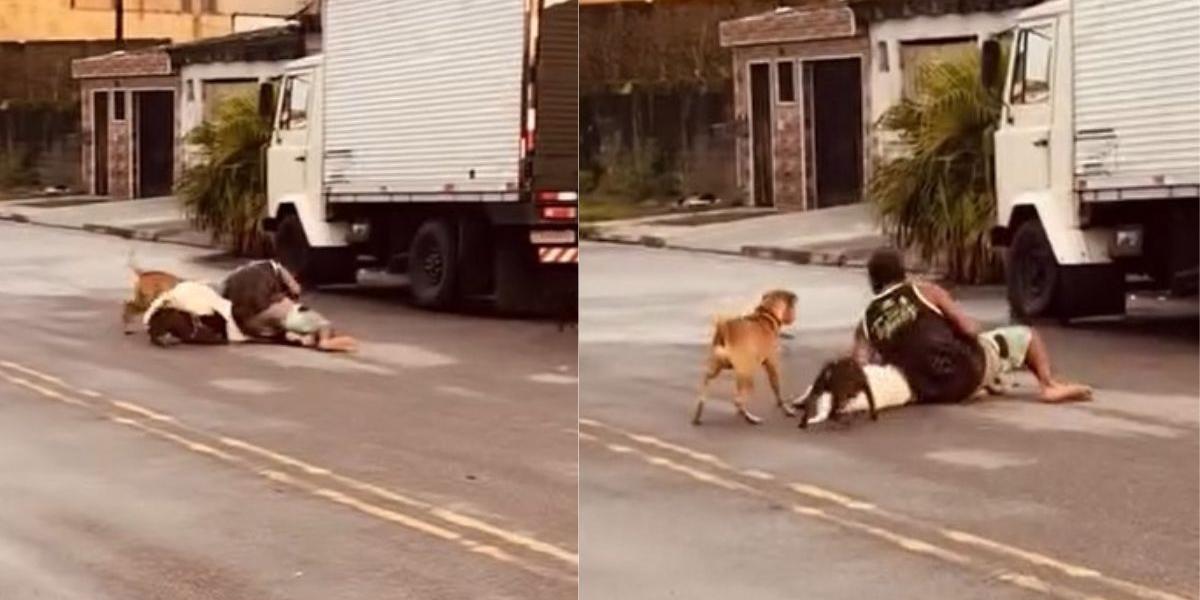 Homem se arrisca para salvar cães durante ataque de Pitbull no Samaritá, em São Vicente: VÍDEO