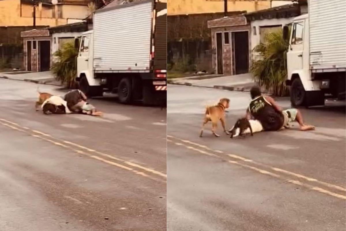Homem se arrisca para salvar cães durante ataque de Pitbull no Samaritá, em São Vicente: VÍDEO