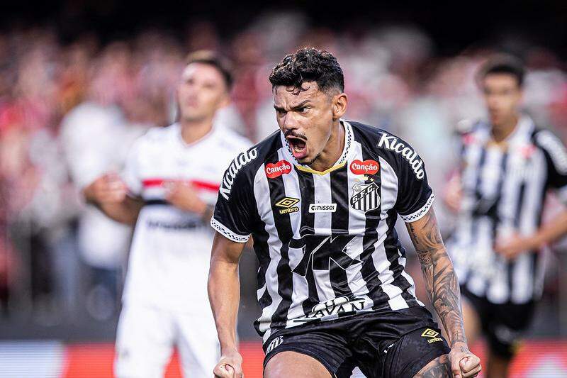 O atacante Tiquinho Soares vai defender o Mirassol até o final desta temporada