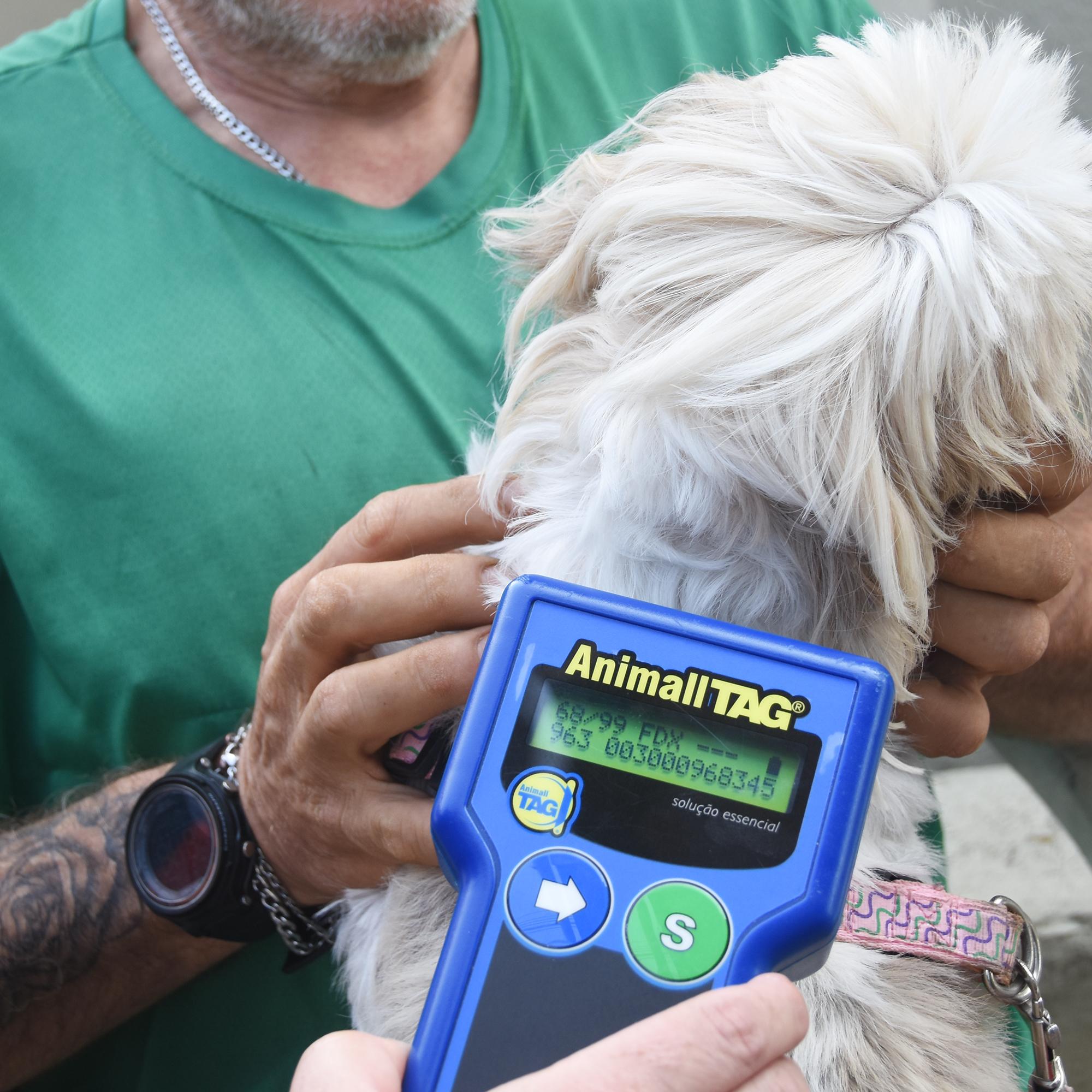 Microchip é colocado na parte superior do tronco do animal e armazena informações do pet e do tutor