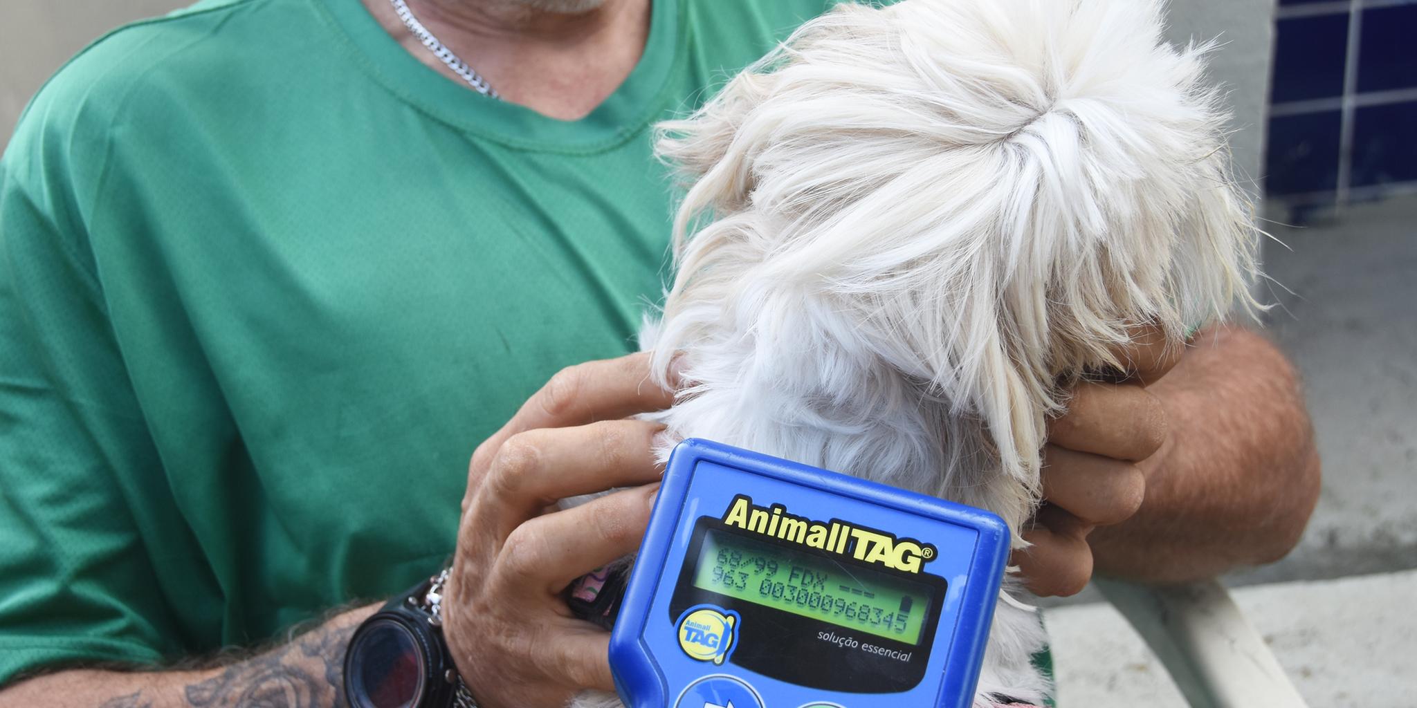 Microchip é colocado na parte superior do tronco do animal e armazena informações do pet e do tutor