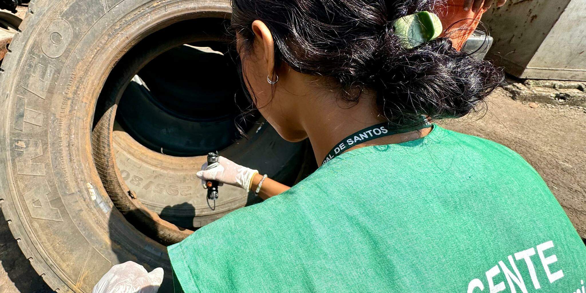 Trabalho de conscientização, mutirões e ciclo endêmico da doença são apontados como os principais fatores para a redução de casos