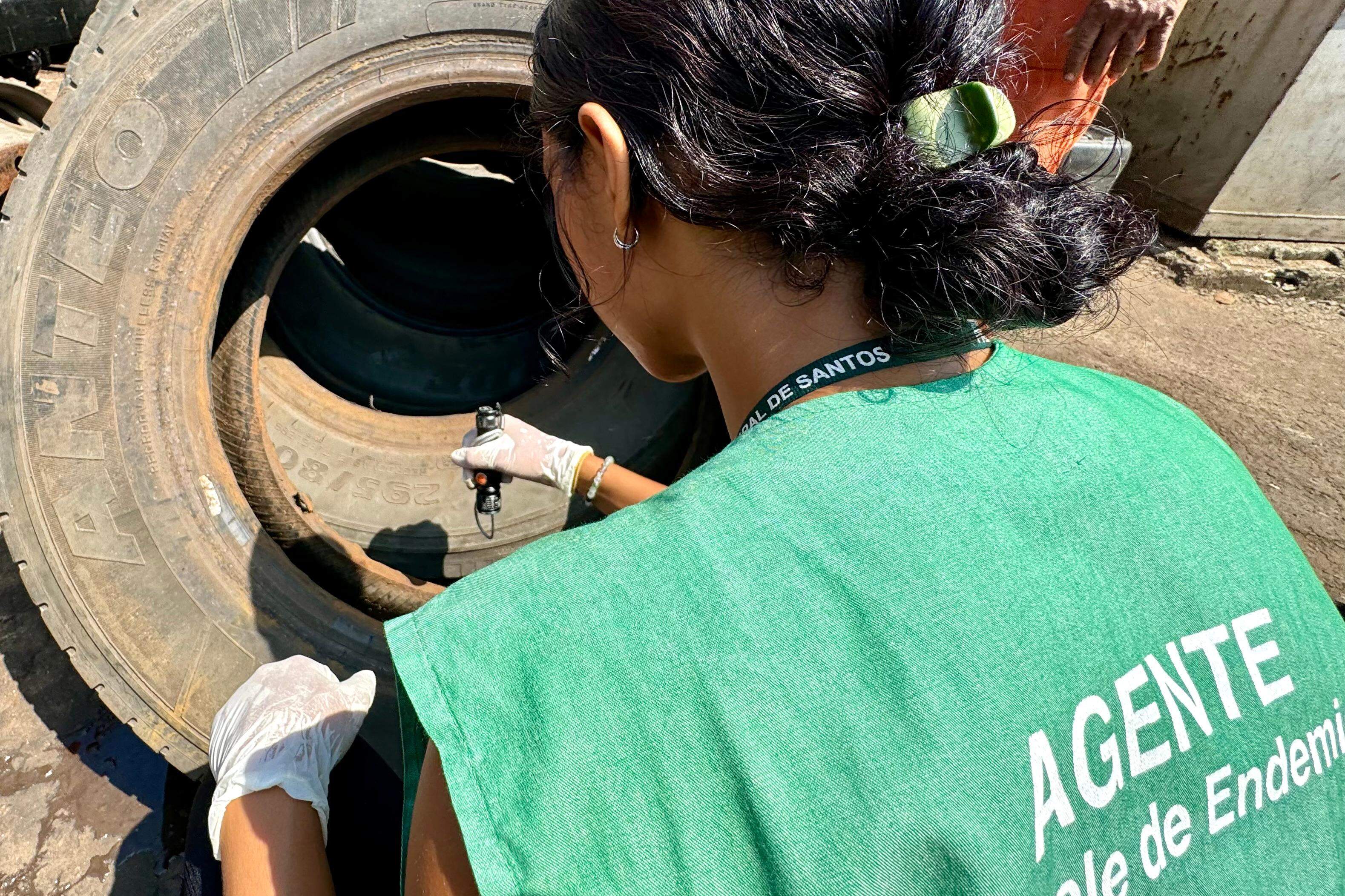 Trabalho de conscientização, mutirões e ciclo endêmico da doença são apontados como os principais fatores para a redução de casos