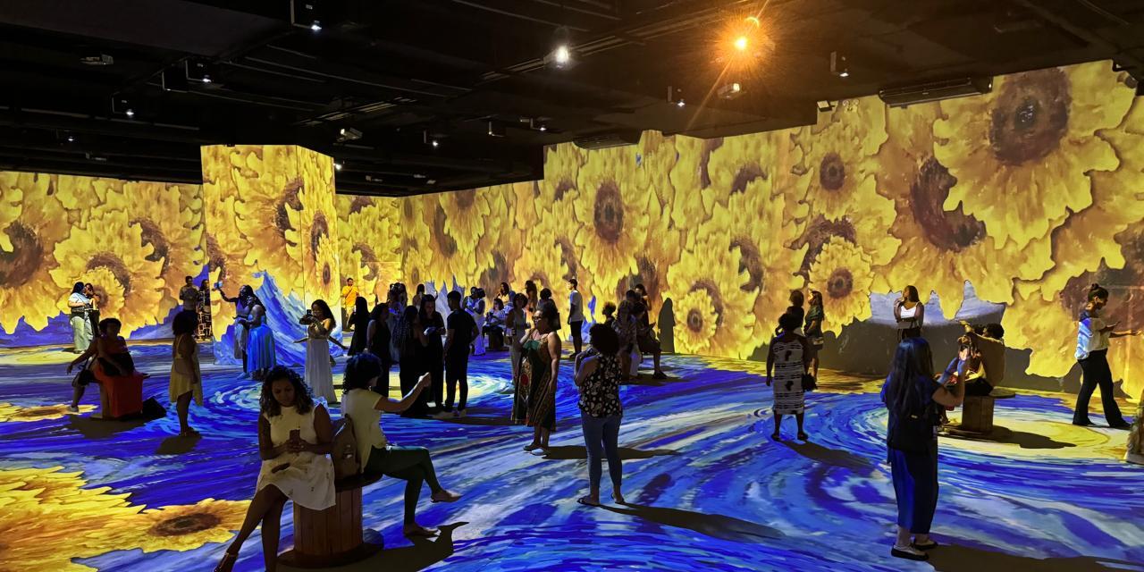 Exposições imersivas estarão na programação do Festival Fronteiras