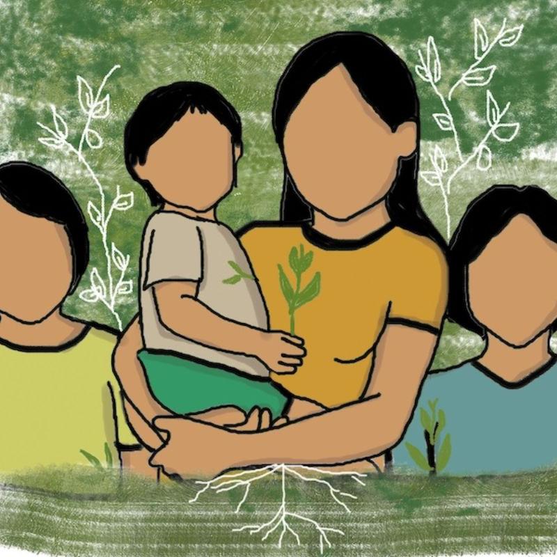 Mandioca: lenda, alimento, cultura  