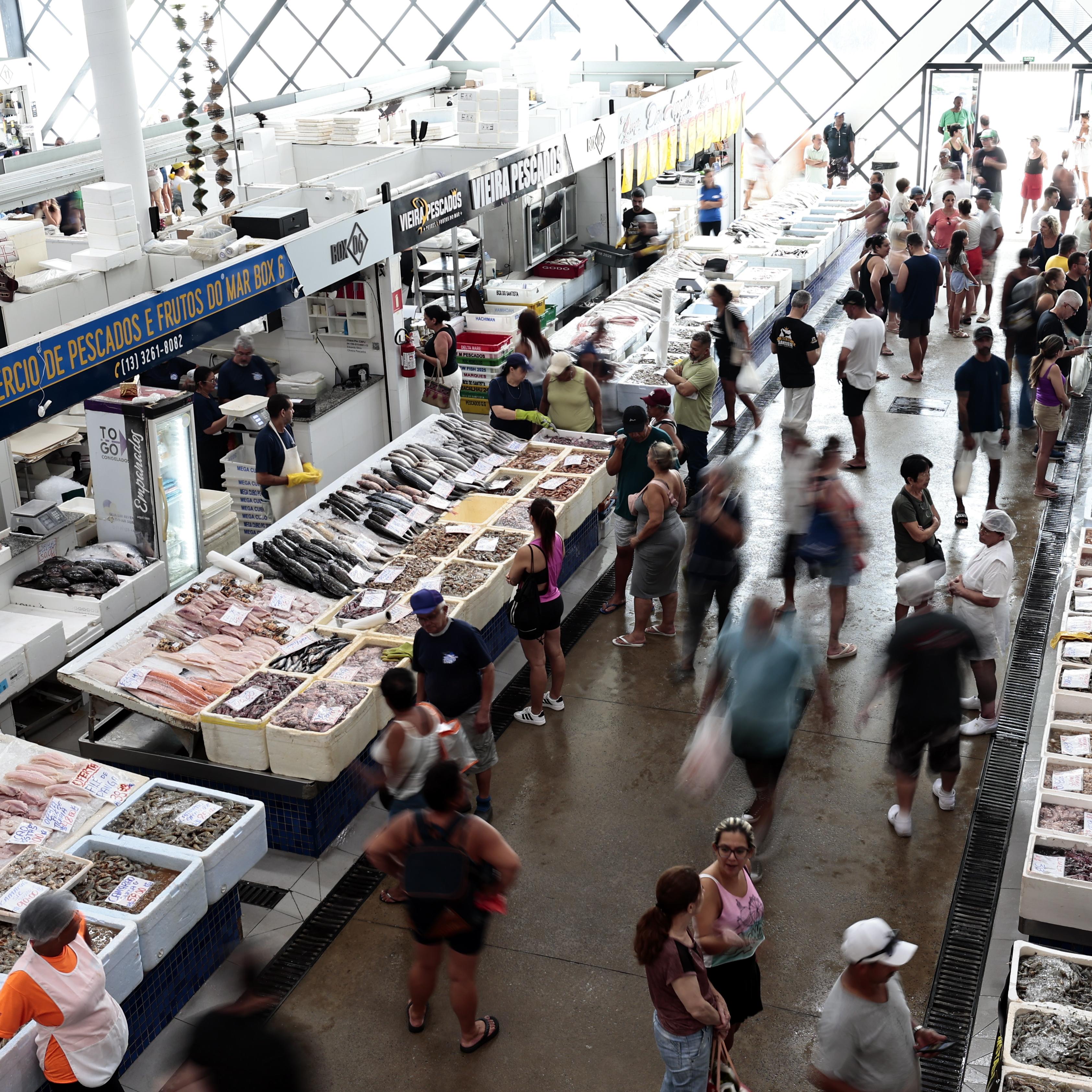 Mercado de Peixes da Ponta da Praia é uma referência no segmento