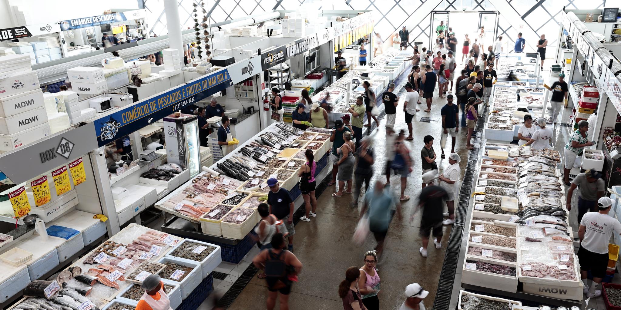 Mercado de Peixes da Ponta da Praia é uma referência no segmento