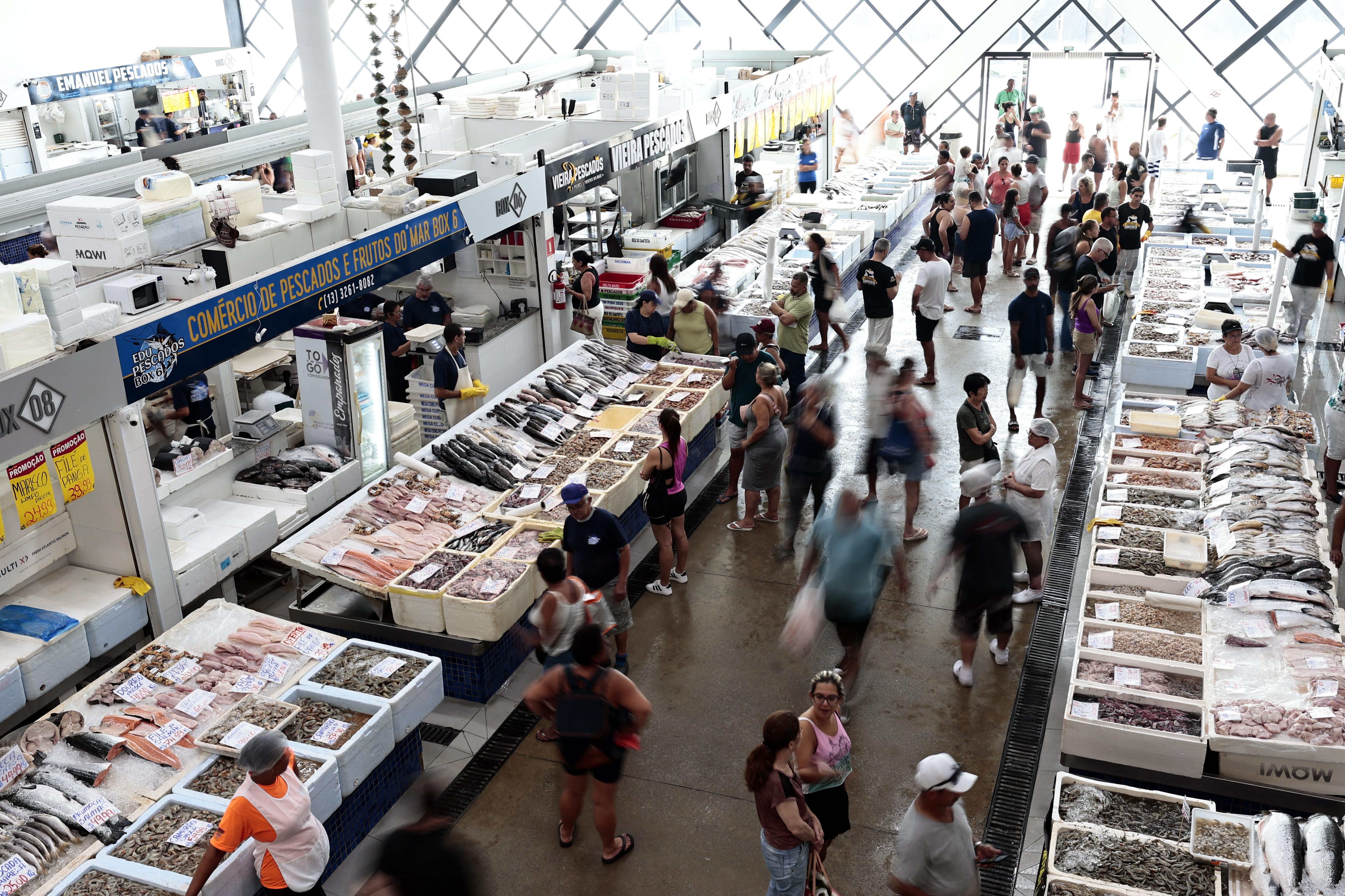 Mercado de Peixes da Ponta da Praia é uma referência no segmento