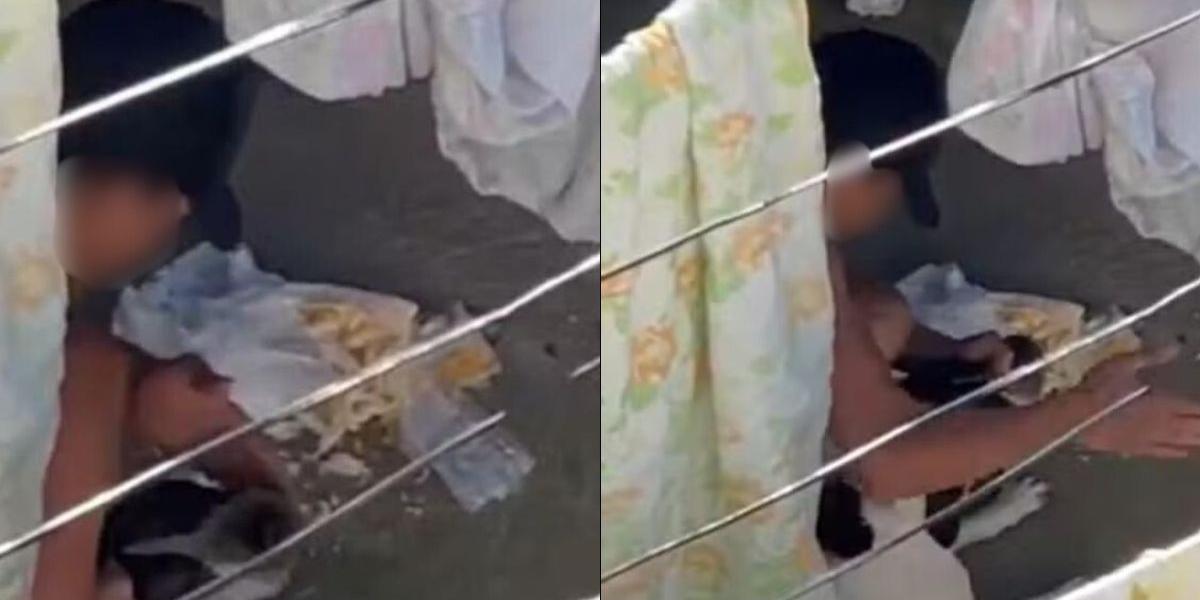 Homem é absolvido e recupera cão após quase quatro anos em abrigo