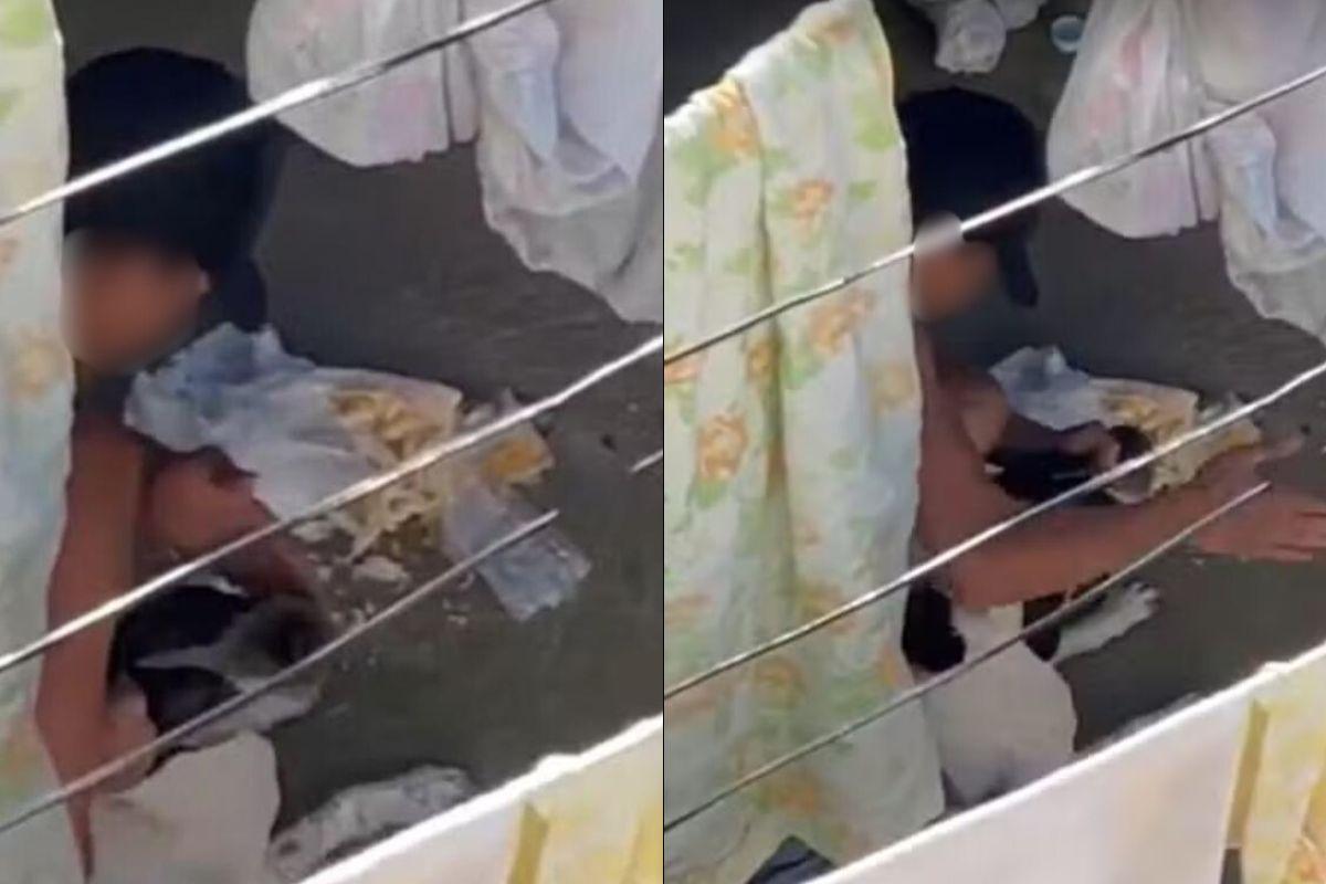 Homem é absolvido e recupera cão após quase quatro anos em abrigo