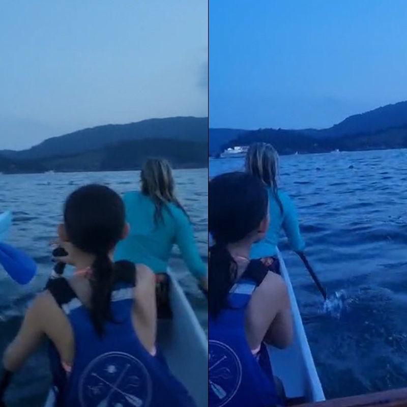 Grupo de remo resgata dois jovens à deriva durante passeio no mar em Santos: VÍDEO