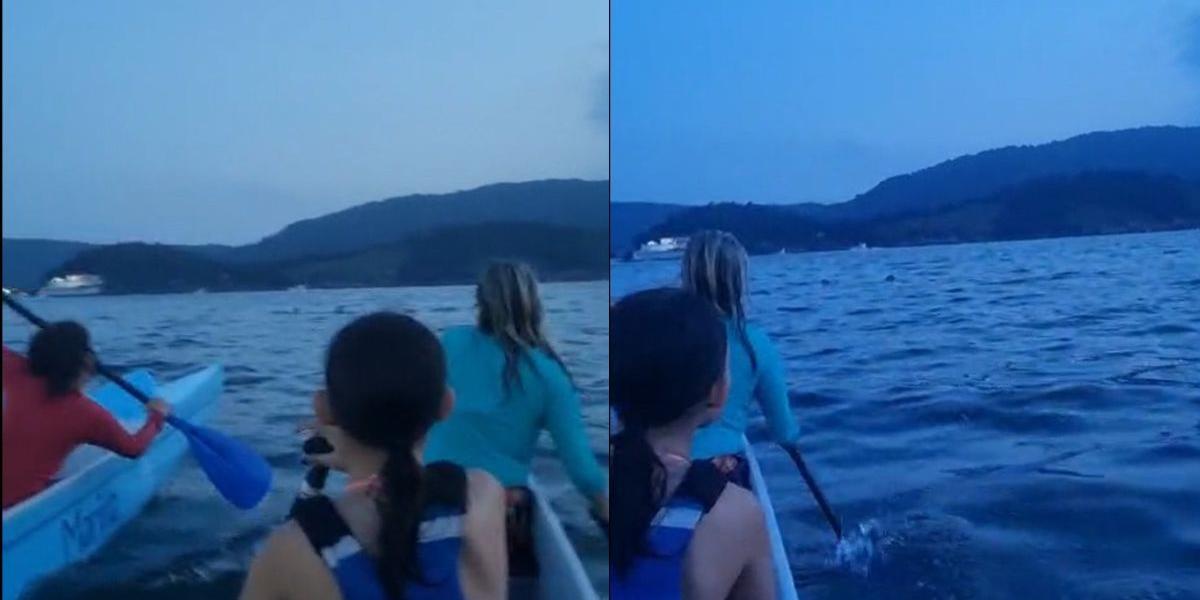 Grupo de remo resgata dois jovens à deriva durante passeio no mar em Santos: VÍDEO