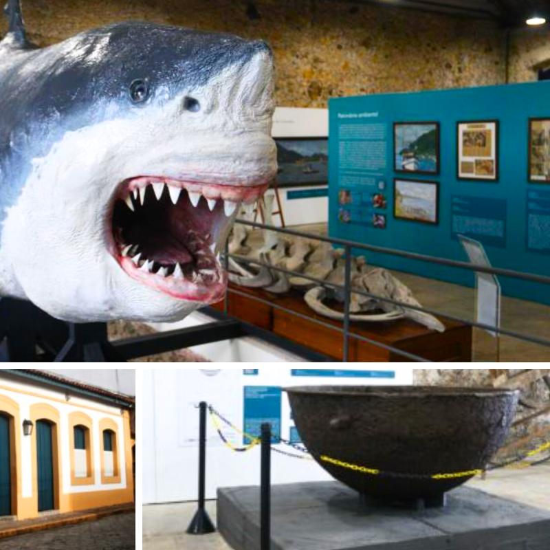 O tubarão com 5,5 metros está em exposição no museu, que fica em um casarão histórico; abaixo, à direita, o tacho de bronze usado para derreter óleo de baleia, outra atração do local